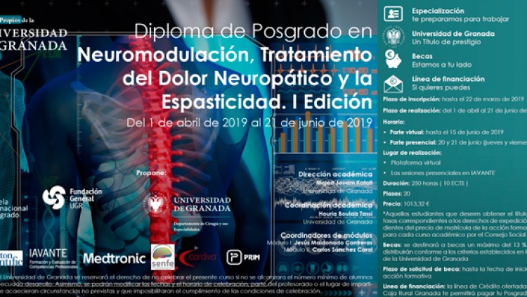 Diploma de Posgrado en Neuromodulación, Tratamiento del Dolor Nueropático y la Espasticidad. I Edición